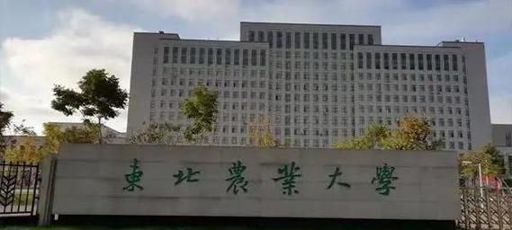 东北农业大学排名怎么样_东北农业大学全国第几名-第2张图片-星辰妙记