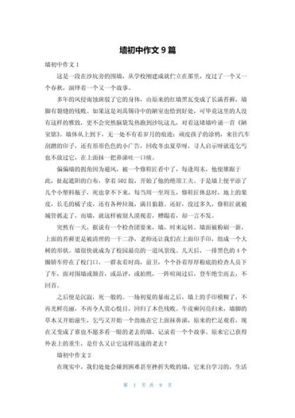 墙的象征意义是什么_如何写好关于墙的作文-第1张图片-星辰妙记