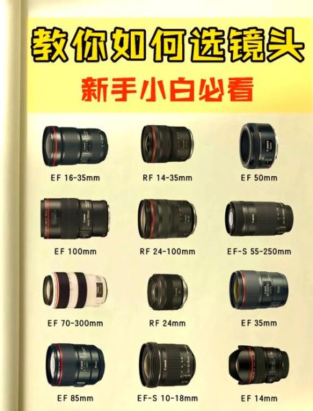 单反镜头怎么选_单反镜头焦距怎么换算-第1张图片-星辰妙记 单反镜头怎么选_单反镜头焦距怎么换算-第1张图片-星辰妙记