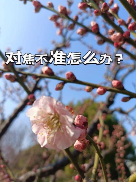 镜头跑焦怎么调_相机对焦不准解决方法-第2张图片-星辰妙记 镜头跑焦怎么调_相机对焦不准解决方法-第2张图片-星辰妙记