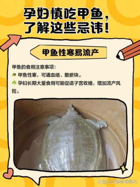 孕妇为什么不能吃甲鱼_孕期吃甲鱼的风险-第1张图片-星辰妙记