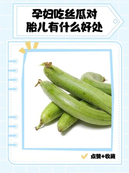 孕妇可以吃丝瓜吗_丝瓜对胎儿好吗-第2张图片-星辰妙记