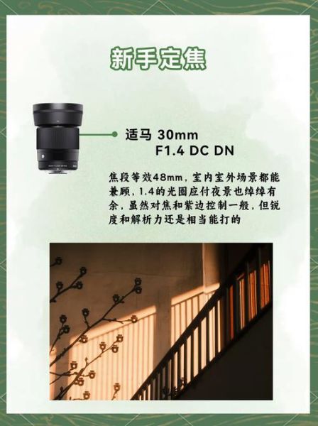 佳能国产镜头怎么样_佳能国产镜头有哪些-第1张图片-星辰妙记