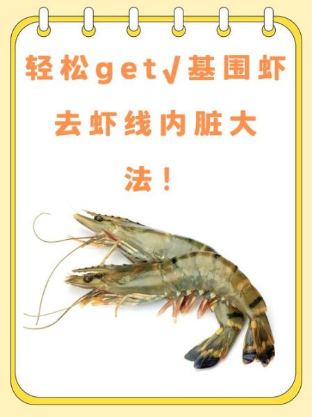 孕妇可以吃基围虾吗_孕妇吃基围虾注意事项-第1张图片-星辰妙记