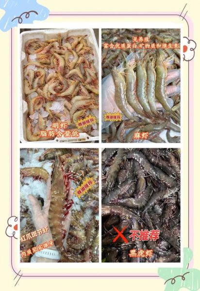 孕妇可以吃基围虾吗_孕妇吃基围虾注意事项-第2张图片-星辰妙记