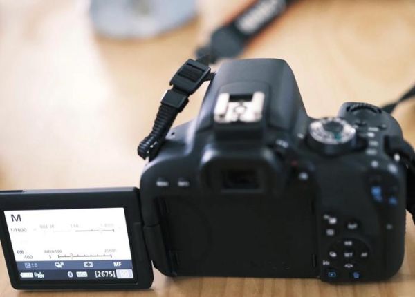 佳能800mm镜头值得买吗_实拍体验如何-第3张图片-星辰妙记