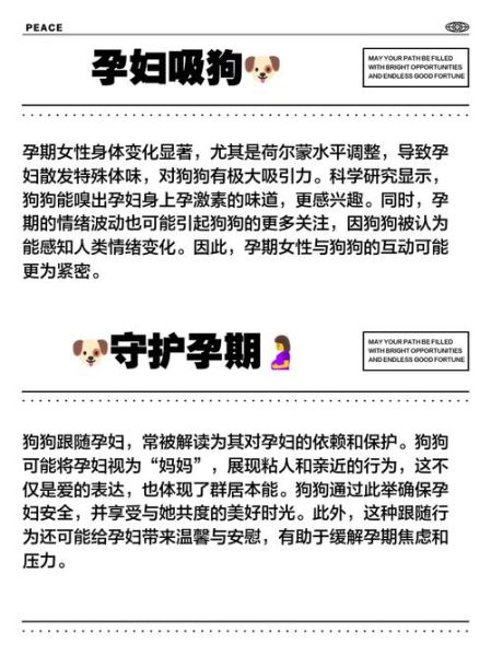 孕妇梦到狗是什么意思_孕妇梦见狗是生男生女-第1张图片-星辰妙记 孕妇梦到狗是什么意思_孕妇梦见狗是生男生女-第1张图片-星辰妙记