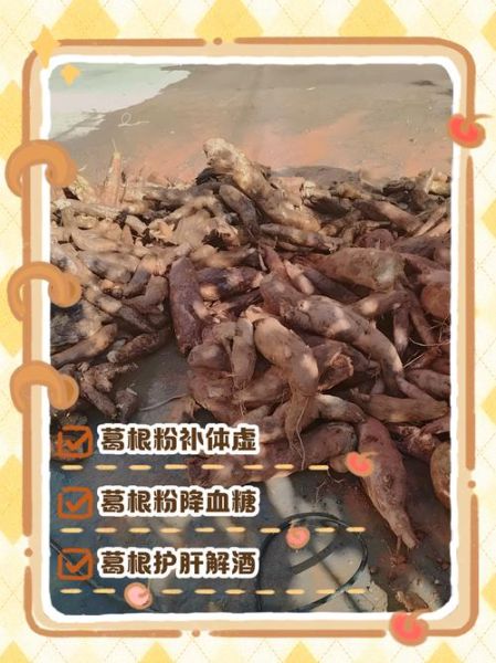 葛根粉孕妇可以吃吗_孕期吃葛根粉安全吗-第3张图片-星辰妙记