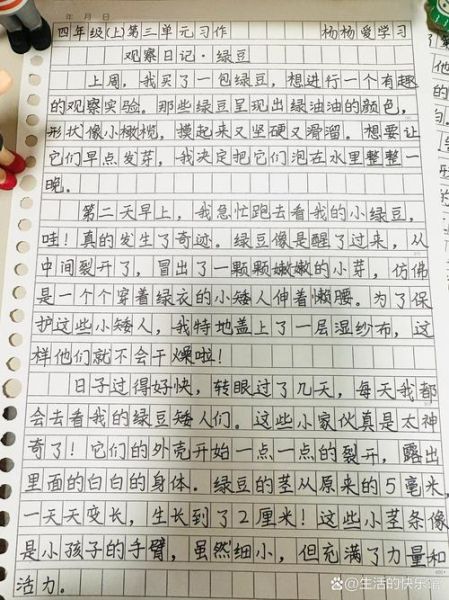四年级上册二单元作文怎么写_如何写观察日记-第1张图片-星辰妙记 四年级上册二单元作文怎么写_如何写观察日记-第1张图片-星辰妙记