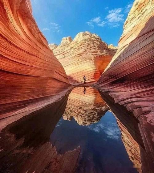 什么是广角镜头_广角镜头适合拍什么-第3张图片-星辰妙记 什么是广角镜头_广角镜头适合拍什么-第3张图片-星辰妙记