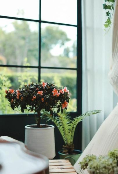 50mm_1.8镜头适合拍什么_怎么拍才好看-第3张图片-星辰妙记 50mm_1.8镜头适合拍什么_怎么拍才好看-第3张图片-星辰妙记