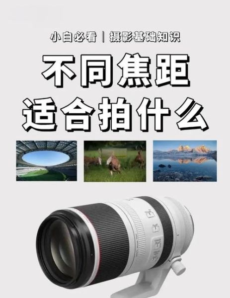 镜头加镜头怎么拍_镜头加镜头拍摄技巧-第1张图片-星辰妙记 镜头加镜头怎么拍_镜头加镜头拍摄技巧-第1张图片-星辰妙记