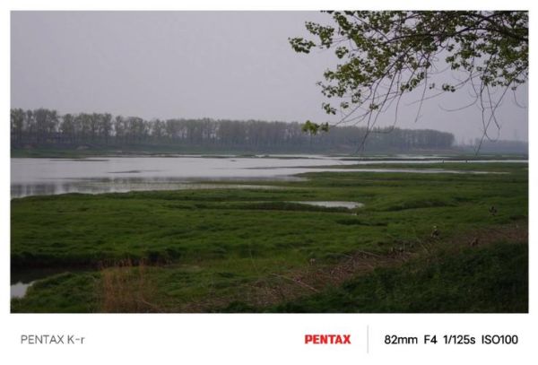 553镜头适合拍什么_553镜头画质怎么样-第2张图片-星辰妙记 553镜头适合拍什么_553镜头画质怎么样-第2张图片-星辰妙记