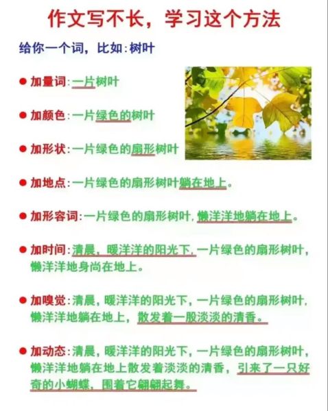 小学生如何开始写作文_作文起步技巧-第2张图片-星辰妙记