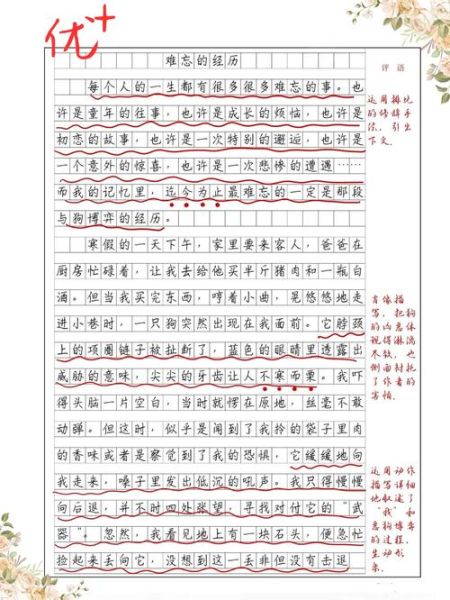 难忘的一面作文怎么写_难忘的一面作文开头-第3张图片-星辰妙记 难忘的一面作文怎么写_难忘的一面作文开头-第3张图片-星辰妙记