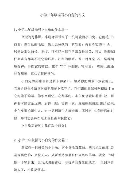 小白兔作文怎么写_二年级小白兔作文素材-第2张图片-星辰妙记