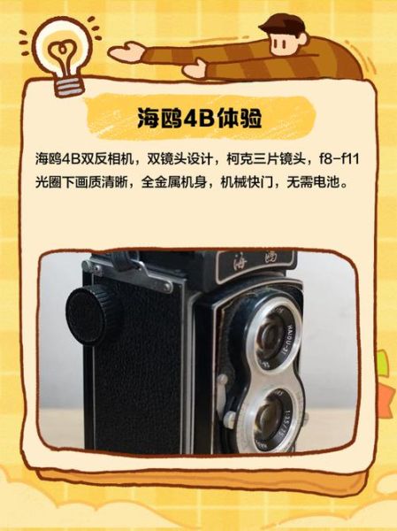 海鸥4b镜头值得买吗_海鸥4b镜头使用技巧-第2张图片-星辰妙记