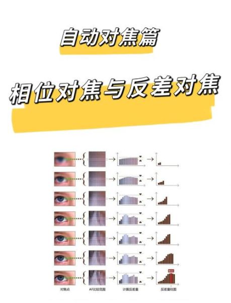 镜头自动对焦失灵怎么办_如何修复相机对焦问题-第2张图片-星辰妙记