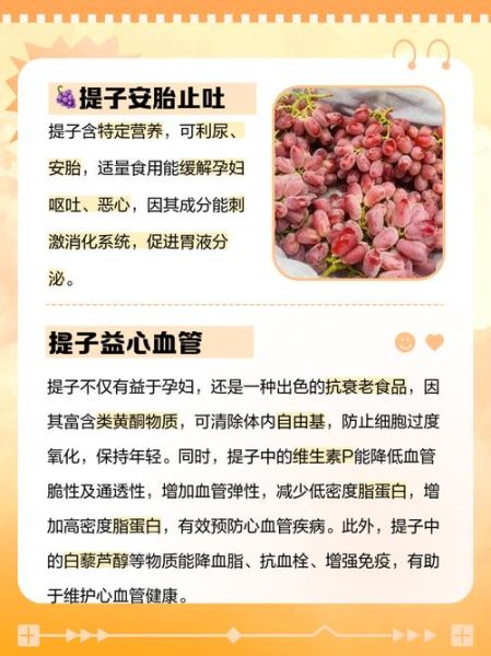 孕妇可以吃提子吗_怀孕吃提子对胎儿好吗-第2张图片-星辰妙记