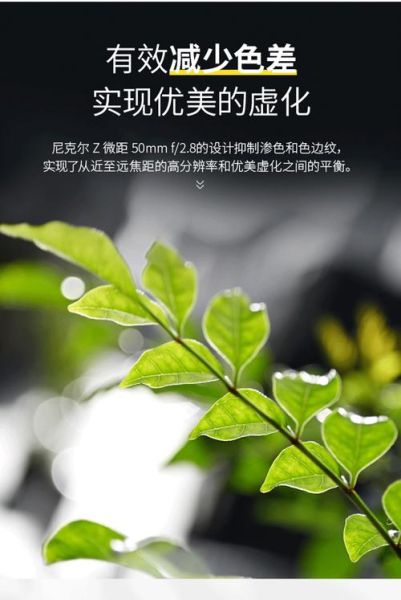 尼克尔微距镜头哪款好_如何拍微距-第1张图片-星辰妙记 尼克尔微距镜头哪款好_如何拍微距-第1张图片-星辰妙记