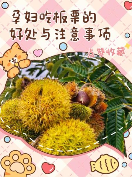 孕妇可以吃板栗吗_孕期吃板栗的注意事项-第2张图片-星辰妙记
