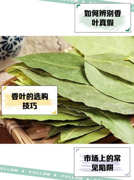 孕妇可以吃香叶吗_香叶对孕妇安全吗-第2张图片-星辰妙记 孕妇可以吃香叶吗_香叶对孕妇安全吗-第2张图片-星辰妙记