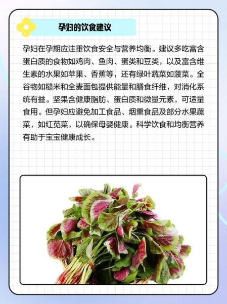 孕妇能吃苋菜吗_苋菜对胎儿有影响吗-第1张图片-星辰妙记