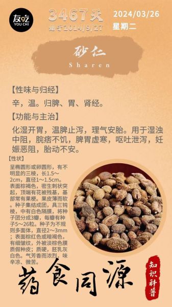 砂仁孕妇可以吃吗_砂仁对孕妇安全吗-第1张图片-星辰妙记 砂仁孕妇可以吃吗_砂仁对孕妇安全吗-第1张图片-星辰妙记