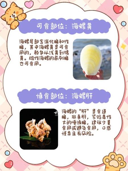 孕妇能吃海螺吗_怀孕吃海螺注意事项-第1张图片-星辰妙记