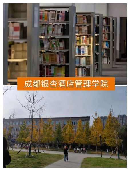 成都信息工程大学银杏酒店管理学院怎么样_就业前景如何-第3张图片-星辰妙记