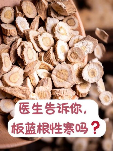 孕妇可以吃板蓝根吗_板蓝根对胎儿有影响吗-第2张图片-星辰妙记