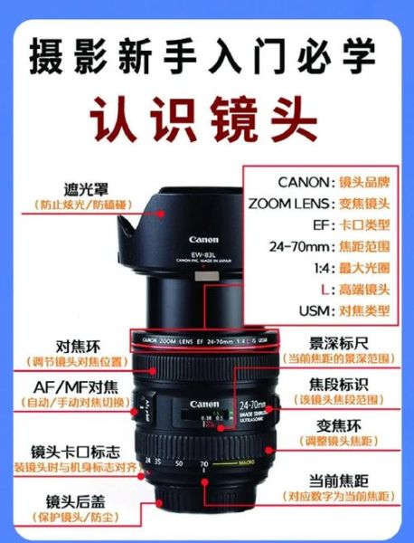 初学者必备单反镜头有哪些_怎么选第一支镜头-第2张图片-星辰妙记
