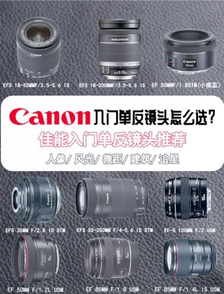 初学者必备单反镜头有哪些_怎么选第一支镜头-第3张图片-星辰妙记