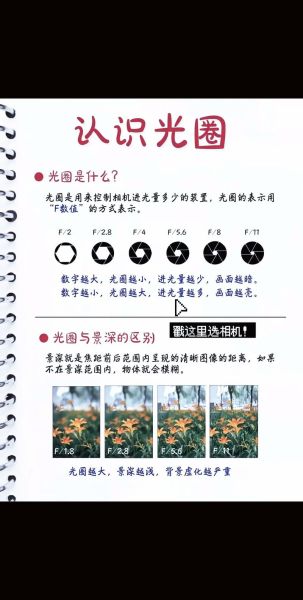 如何拍产品图_镜头拍摄方式有哪些-第2张图片-星辰妙记