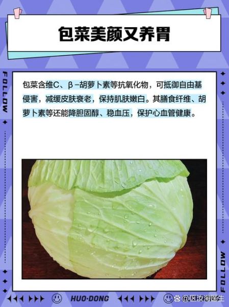 孕妇可以吃包菜吗_包菜对胎儿的好处-第1张图片-星辰妙记