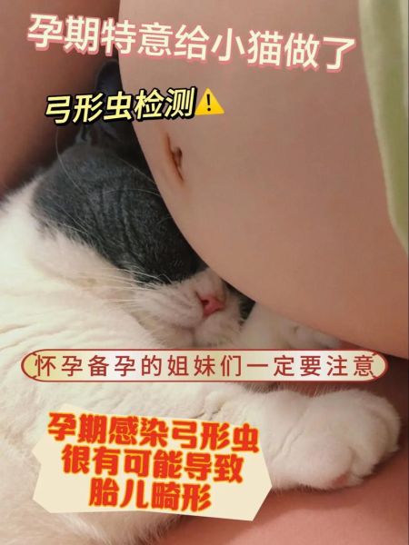 半熟的鸡蛋弓形虫孕妇_安全吃法-第1张图片-星辰妙记