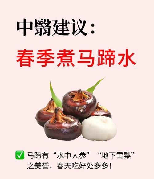 孕妇能吃马蹄吗_马蹄孕妇吃了有什么影响-第1张图片-星辰妙记