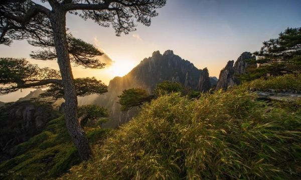 广角镜头怎么用_广角镜头适合拍什么场景-第2张图片-星辰妙记 广角镜头怎么用_广角镜头适合拍什么场景-第2张图片-星辰妙记