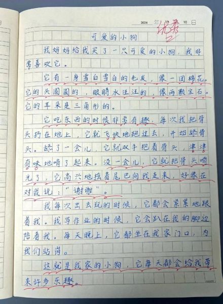 可爱的小狗作文怎么写_如何描写小狗的可爱之处-第2张图片-星辰妙记 可爱的小狗作文怎么写_如何描写小狗的可爱之处-第2张图片-星辰妙记