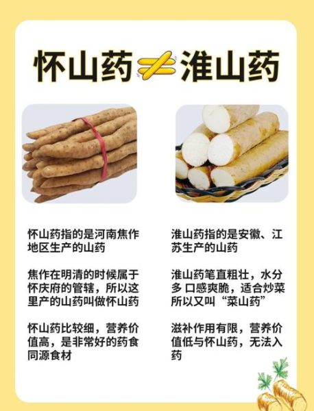孕妇可以吃淮山吗_淮山对胎儿有影响吗-第3张图片-星辰妙记