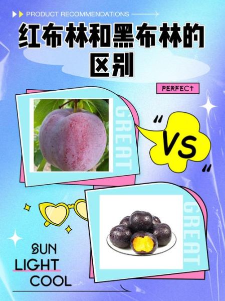 孕妇可以吃红布林吗_红布林对胎儿有影响吗-第1张图片-星辰妙记