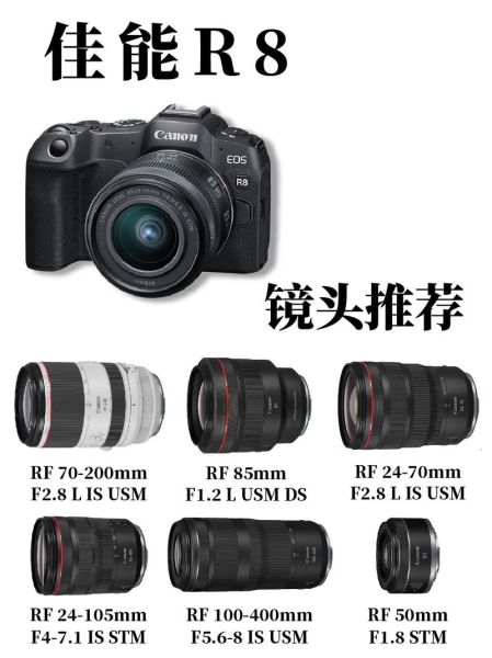 佳能小镜头怎么选_佳能小镜头适合拍什么-第2张图片-星辰妙记