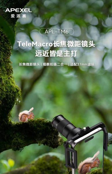 手机长焦镜头有用吗_长焦镜头适合拍什么-第2张图片-星辰妙记