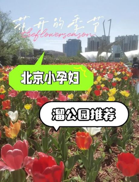 北京孕妇游玩好去处_孕妇北京旅游安全吗-第1张图片-星辰妙记