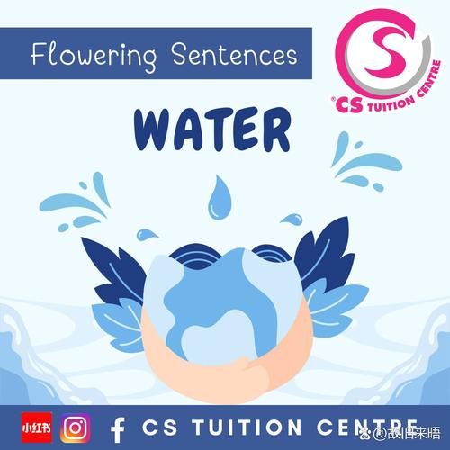 how_to_save_water_in_daily_life_why_is_water_conservation_important-第2张图片-星辰妙记