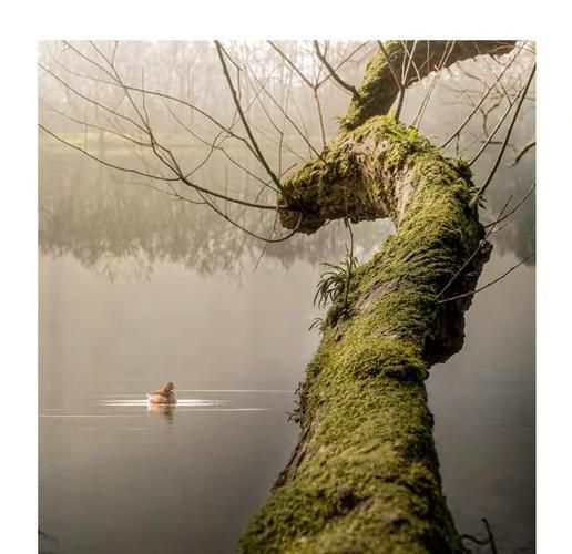 35人文镜头推荐_35mm镜头适合拍什么-第2张图片-星辰妙记