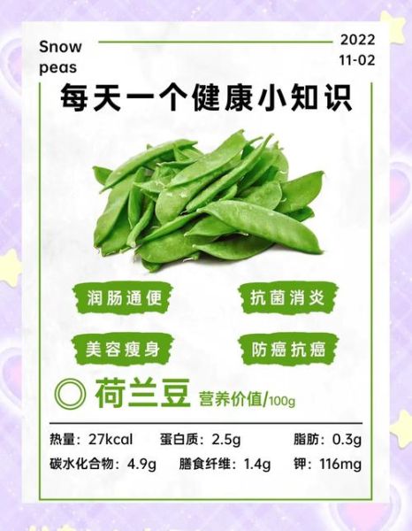 荷兰豆孕妇能吃吗_孕妇吃荷兰豆注意事项-第1张图片-星辰妙记