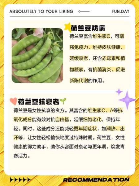 荷兰豆孕妇能吃吗_孕妇吃荷兰豆注意事项-第2张图片-星辰妙记