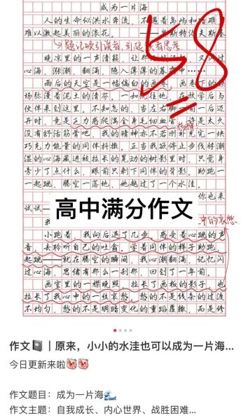 拥有什么作文怎么写_如何写出高分拥有什么作文-第2张图片-星辰妙记