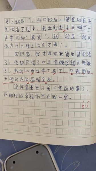 家有儿女作文怎么写_家有儿女观后感800字-第2张图片-星辰妙记